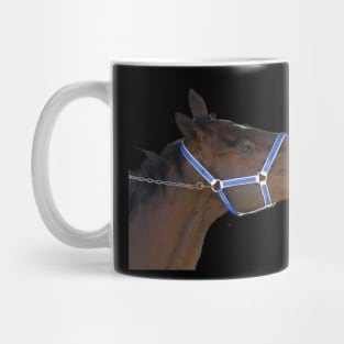 Horse racing Mug